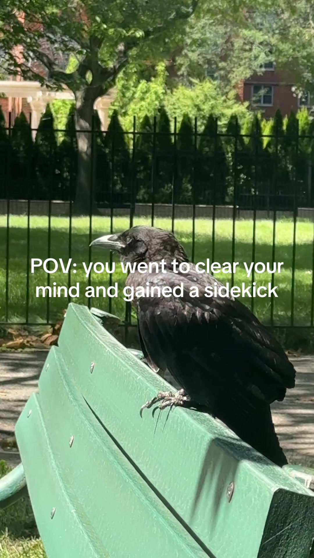 @Platnume ๐