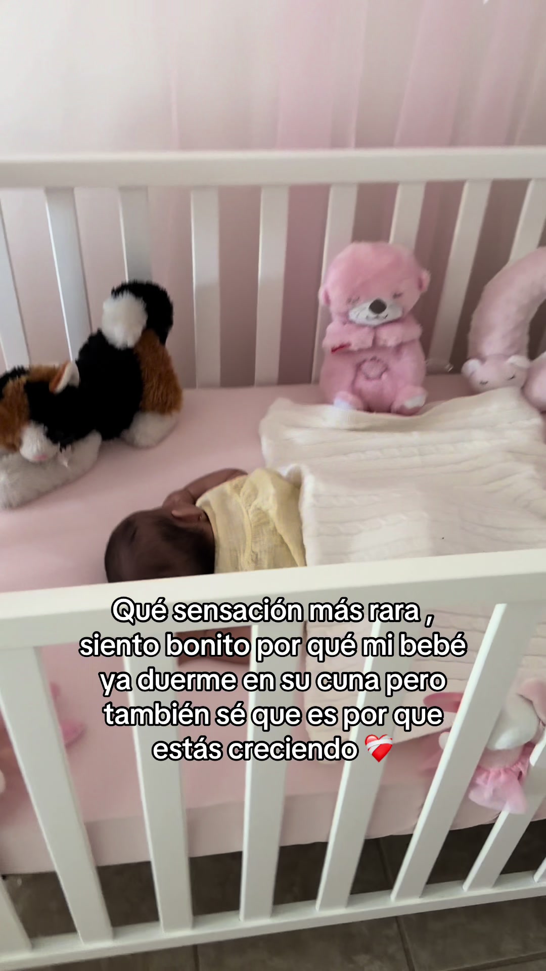 @Laura | Mamá & Lifestyle 🤍