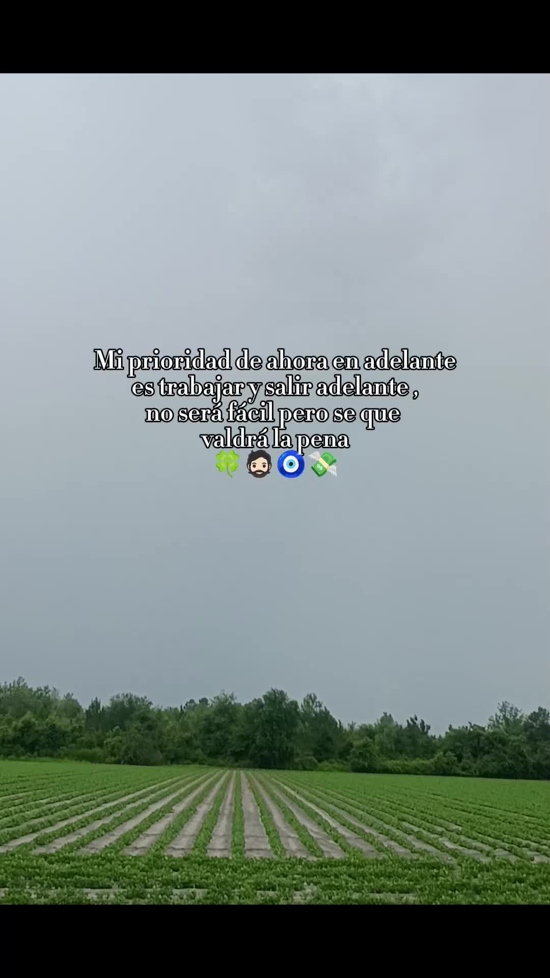 @🥇𝐀𝐥𝐚𝐧 𝐕𝐳𝐪⚽ ෴🥷෴.