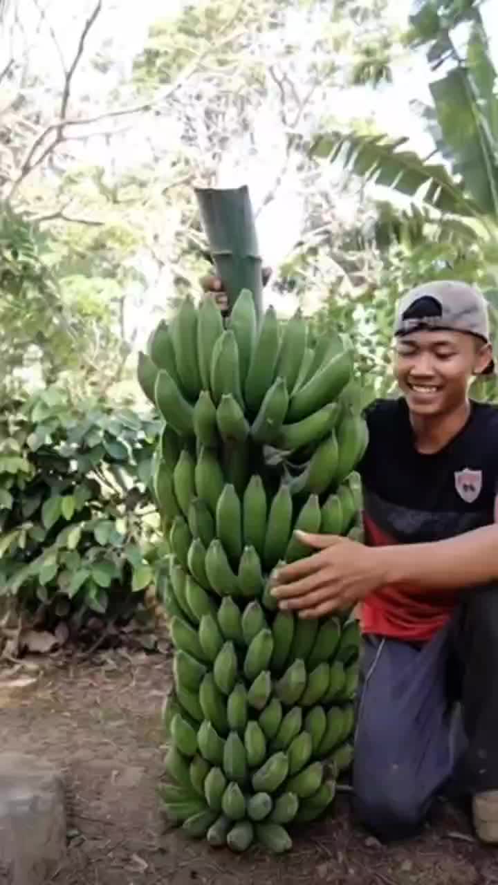 @konga1i