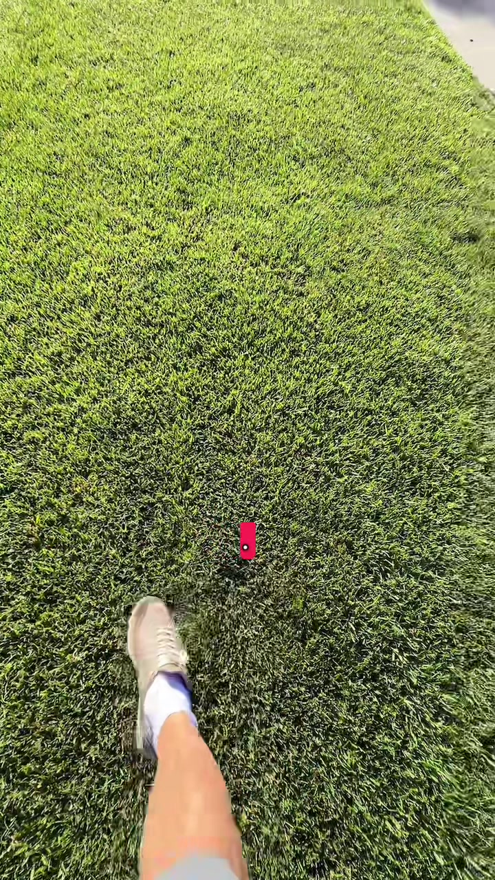@Mrrice🌾