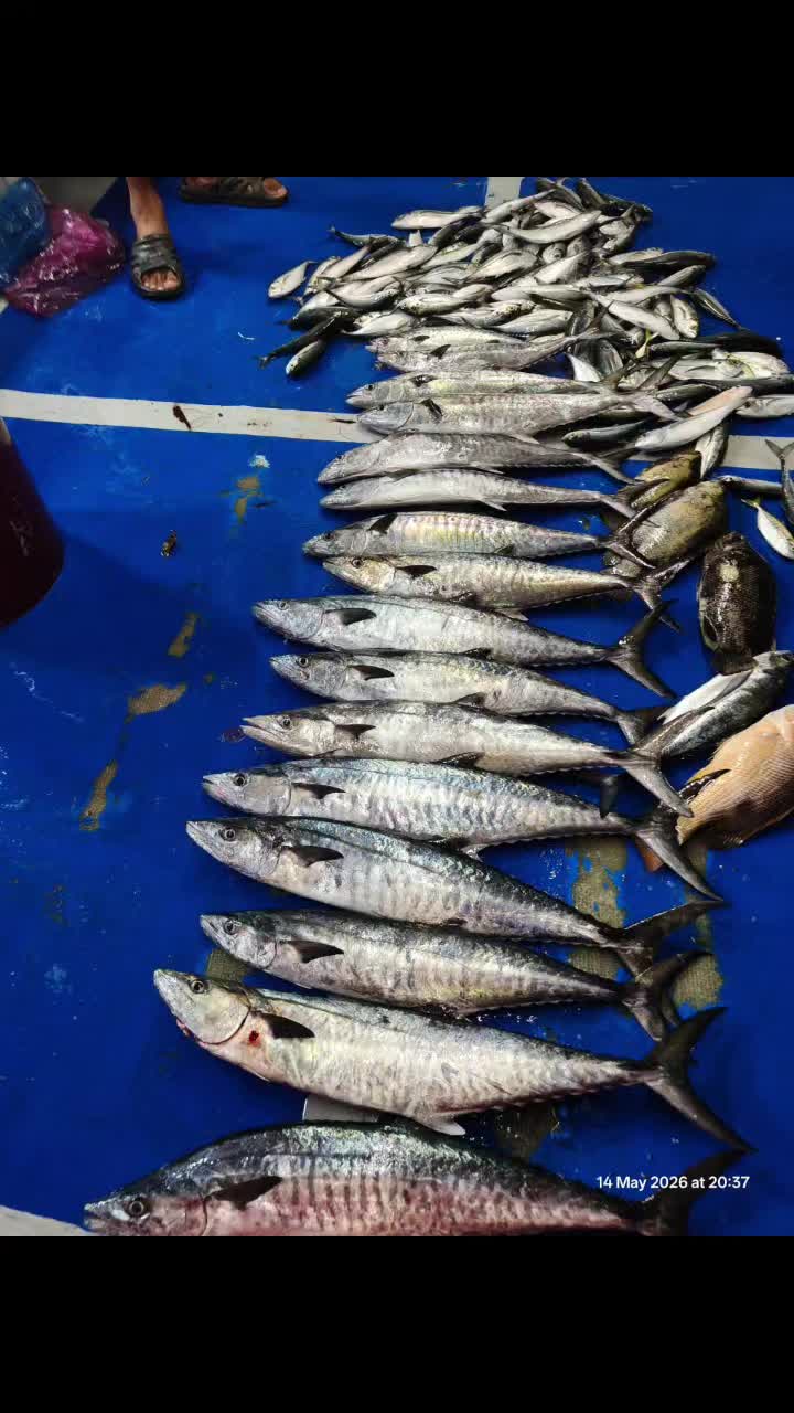 @G.D SPORT🛥️🎣