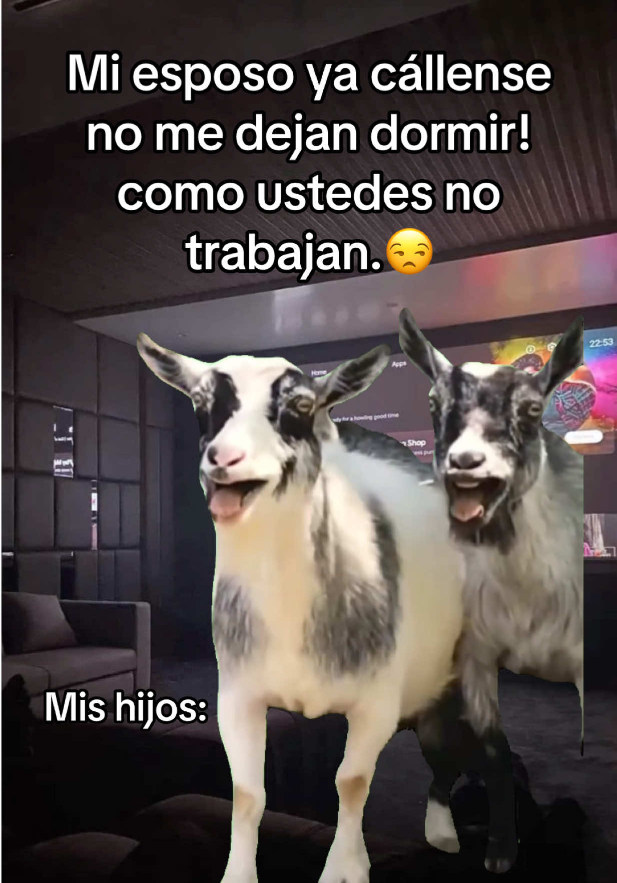 @nidia ✨