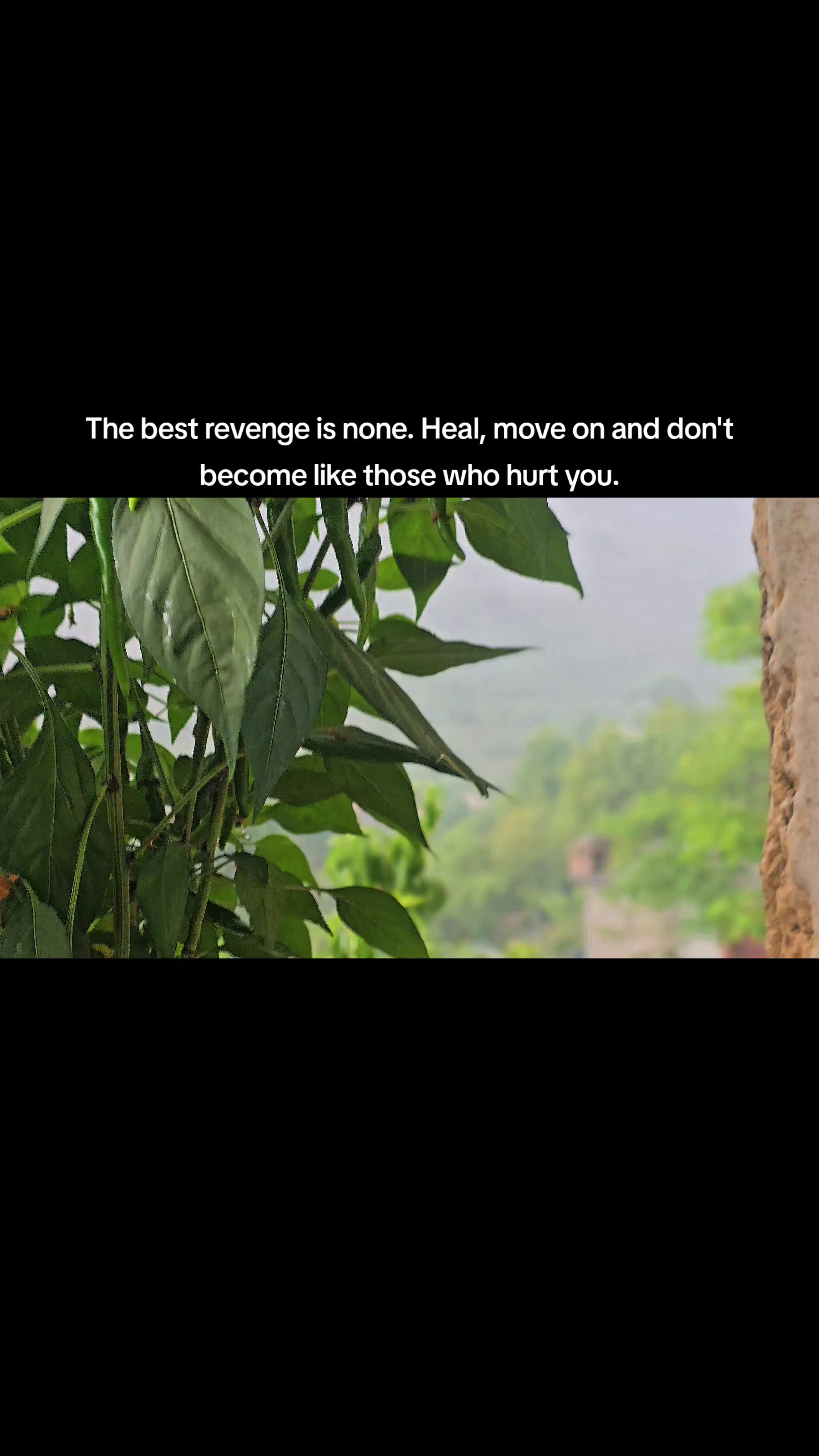 @Adnan Noor (AD)