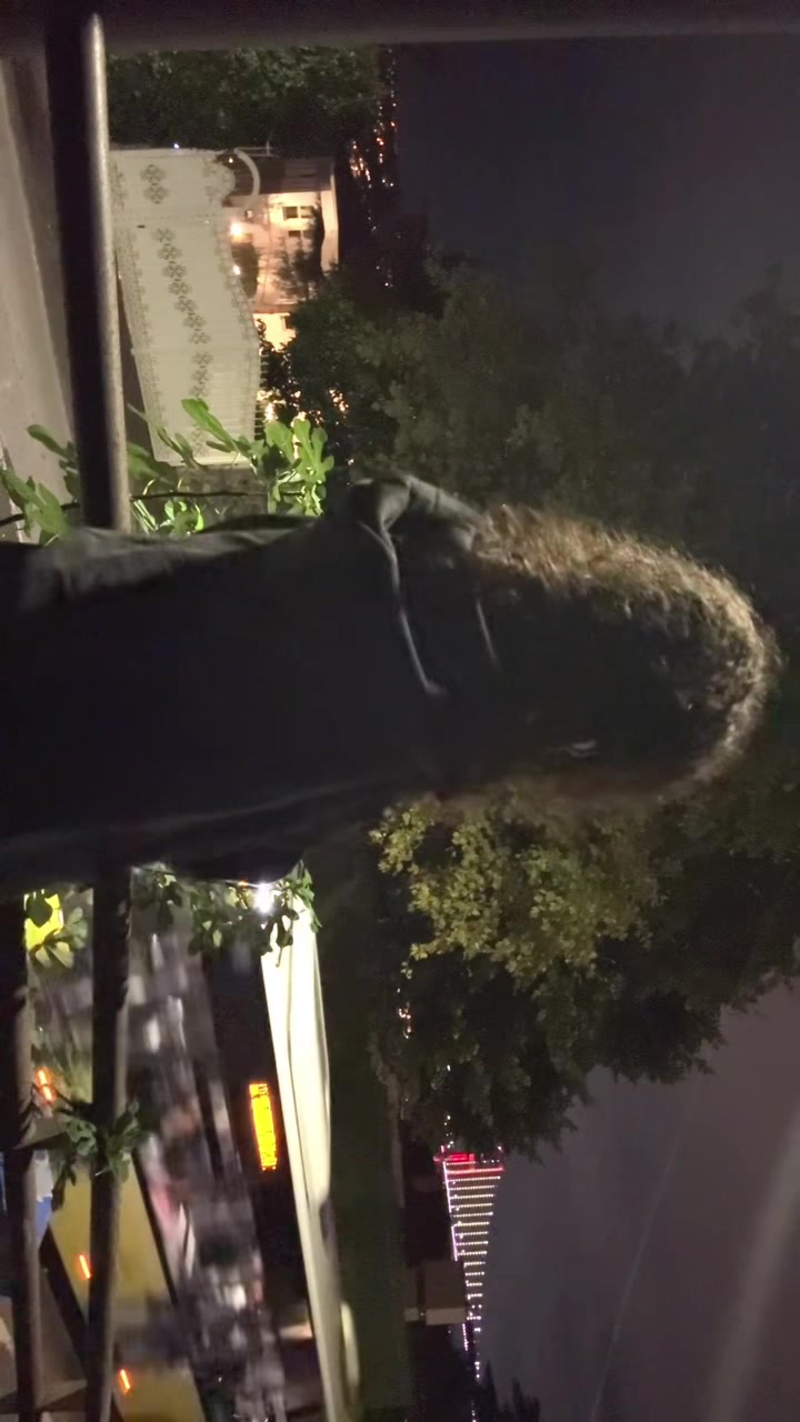 @_legendary_ann_
