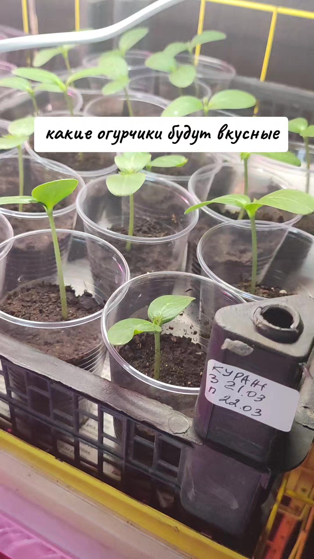 @Светлана Усова