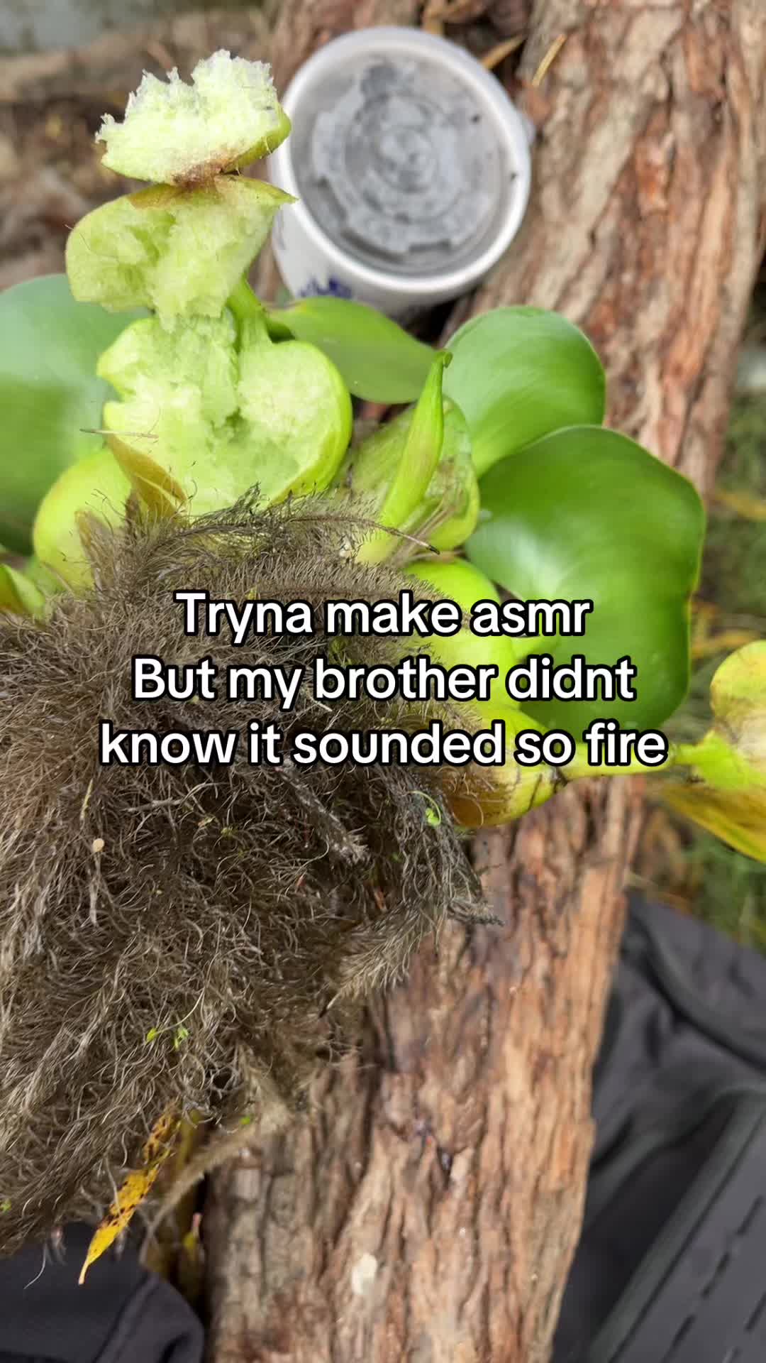 @paige