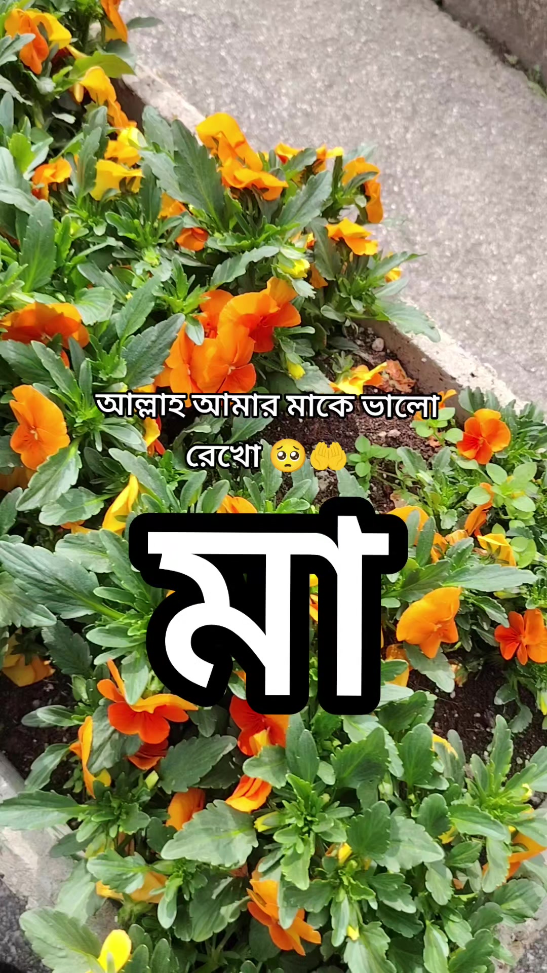 @🇧🇩Jannat🇮🇹
