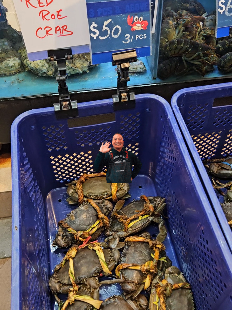 @Live Seafood Supply @ Crabtalk