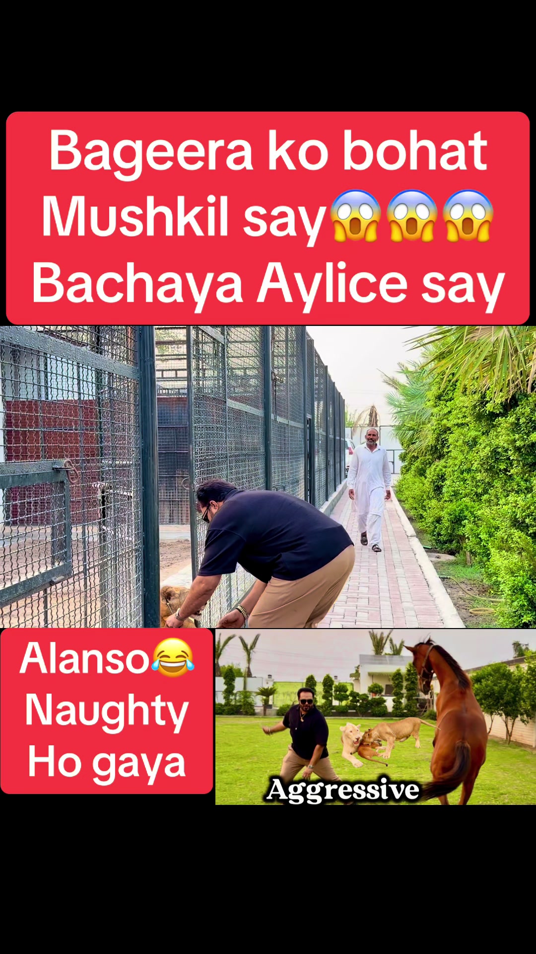 @Mian saqib