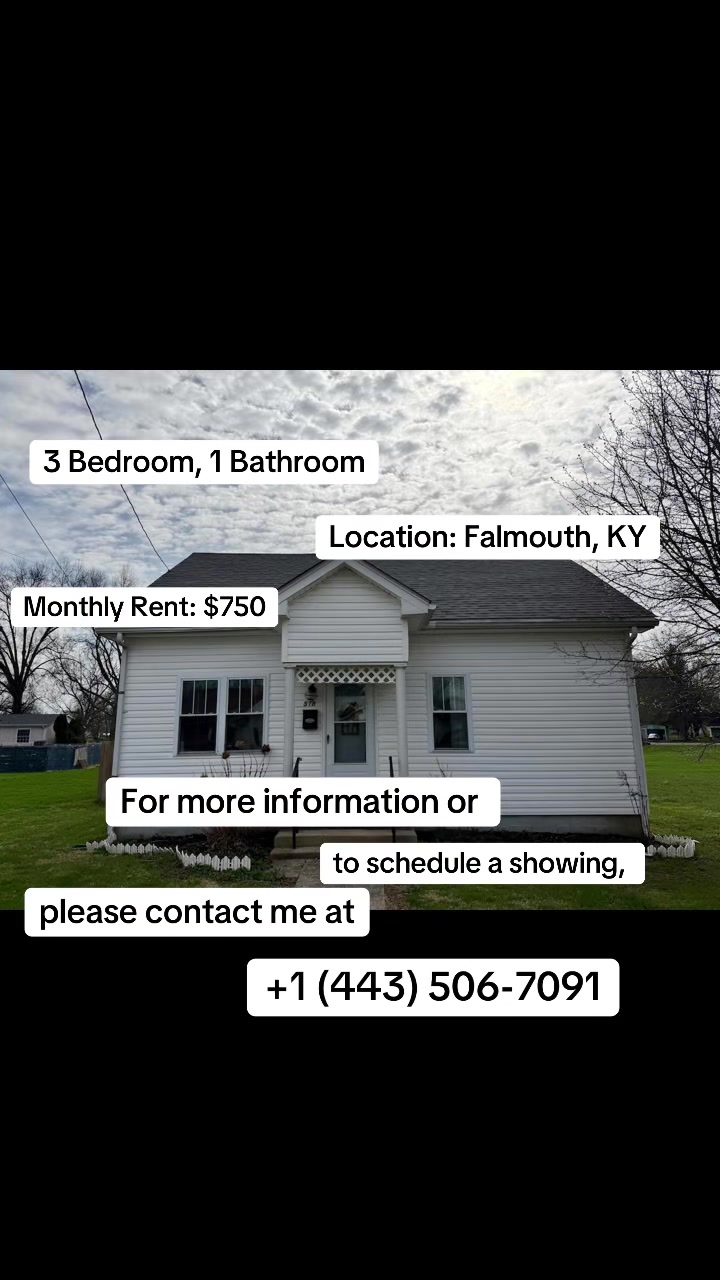 @House Rental Agent
