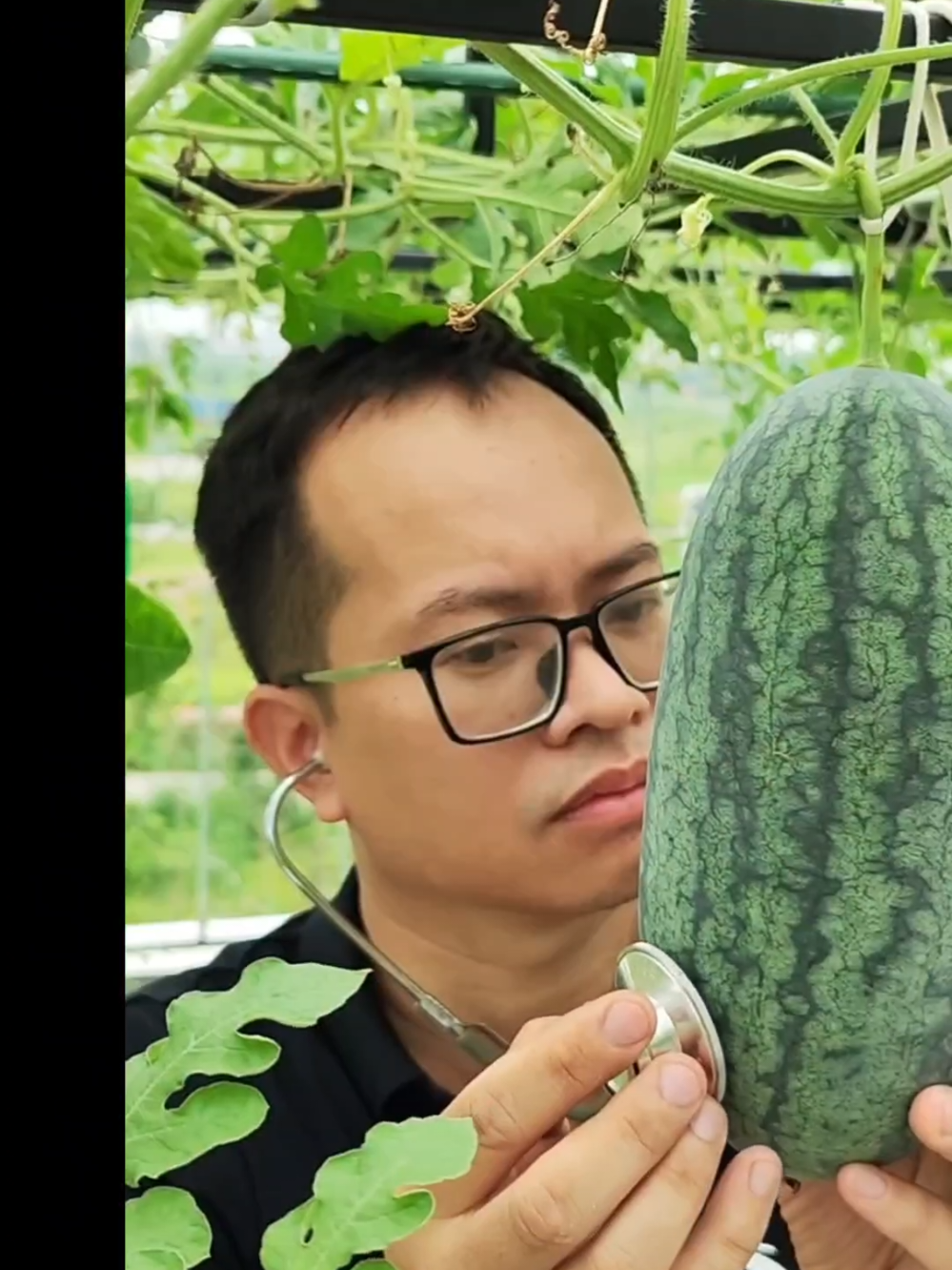 @Dược sĩ cỏ