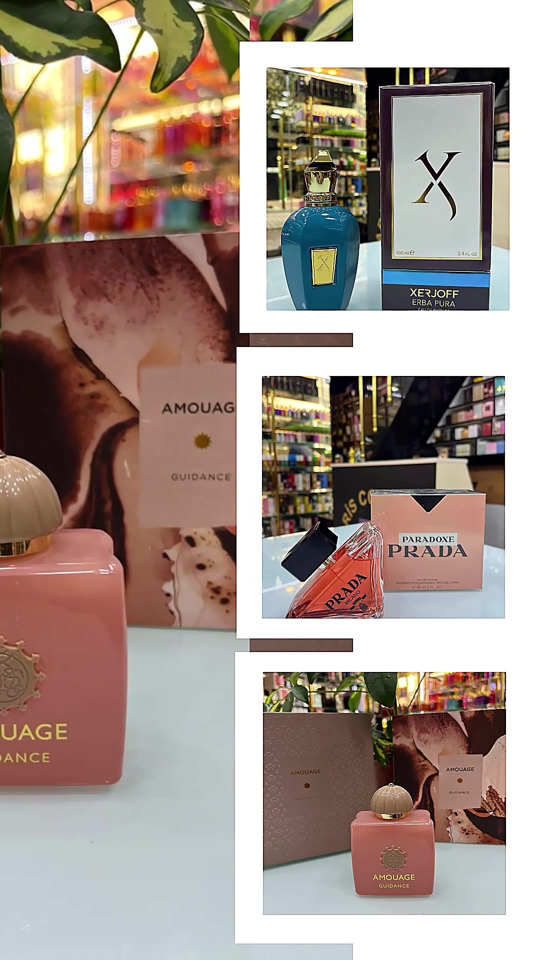 @PARFUMİX
