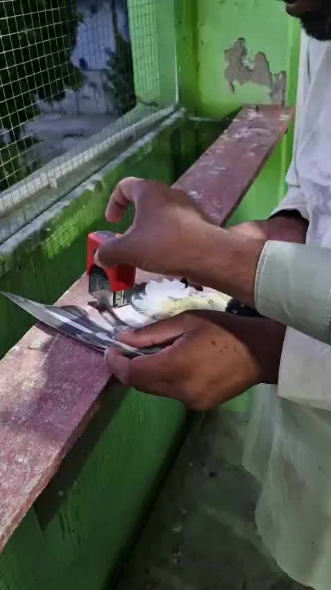 @چھت شہزاد عرف سنی UK