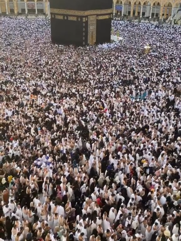 @جام اظہر محمود خالدی 🇵🇰🇸🇦