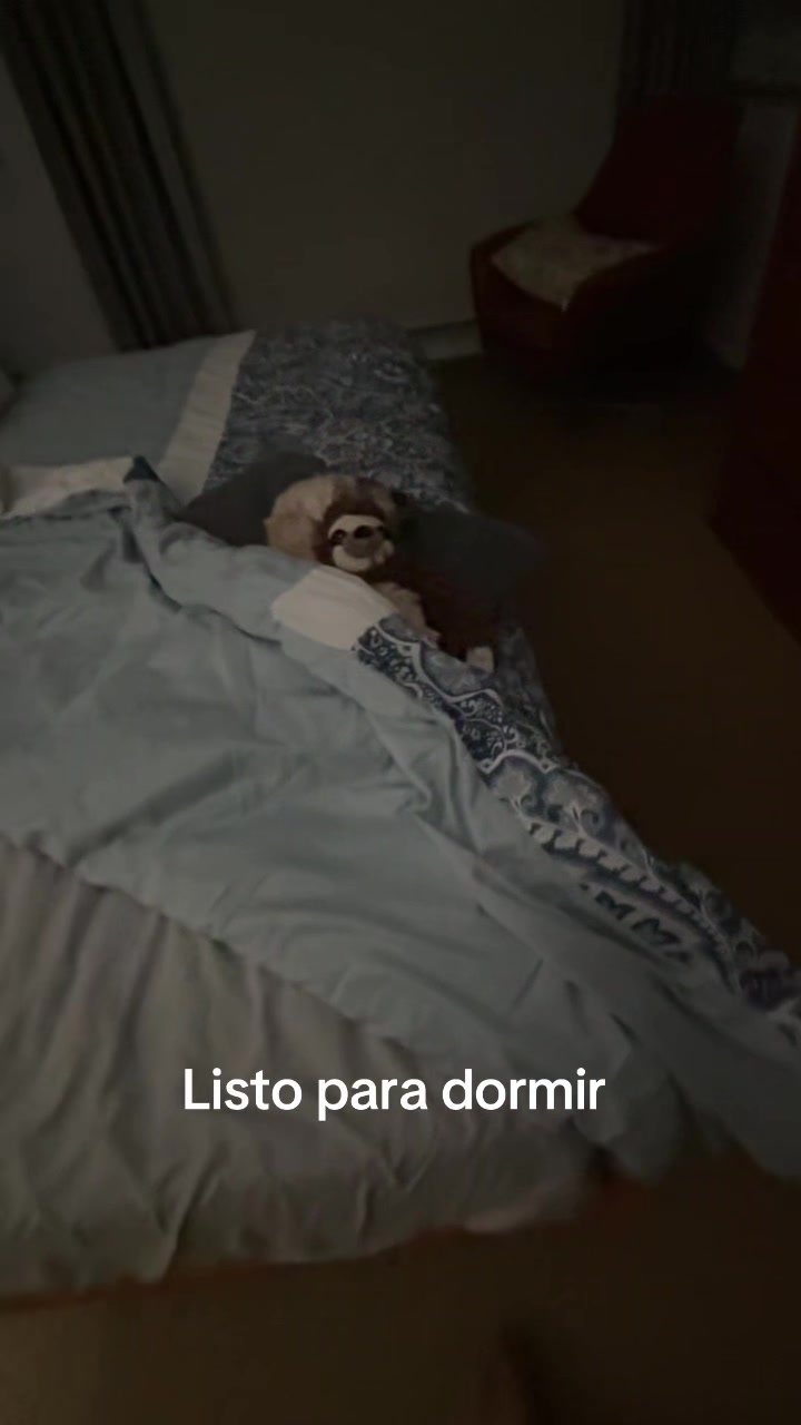 @Beyli