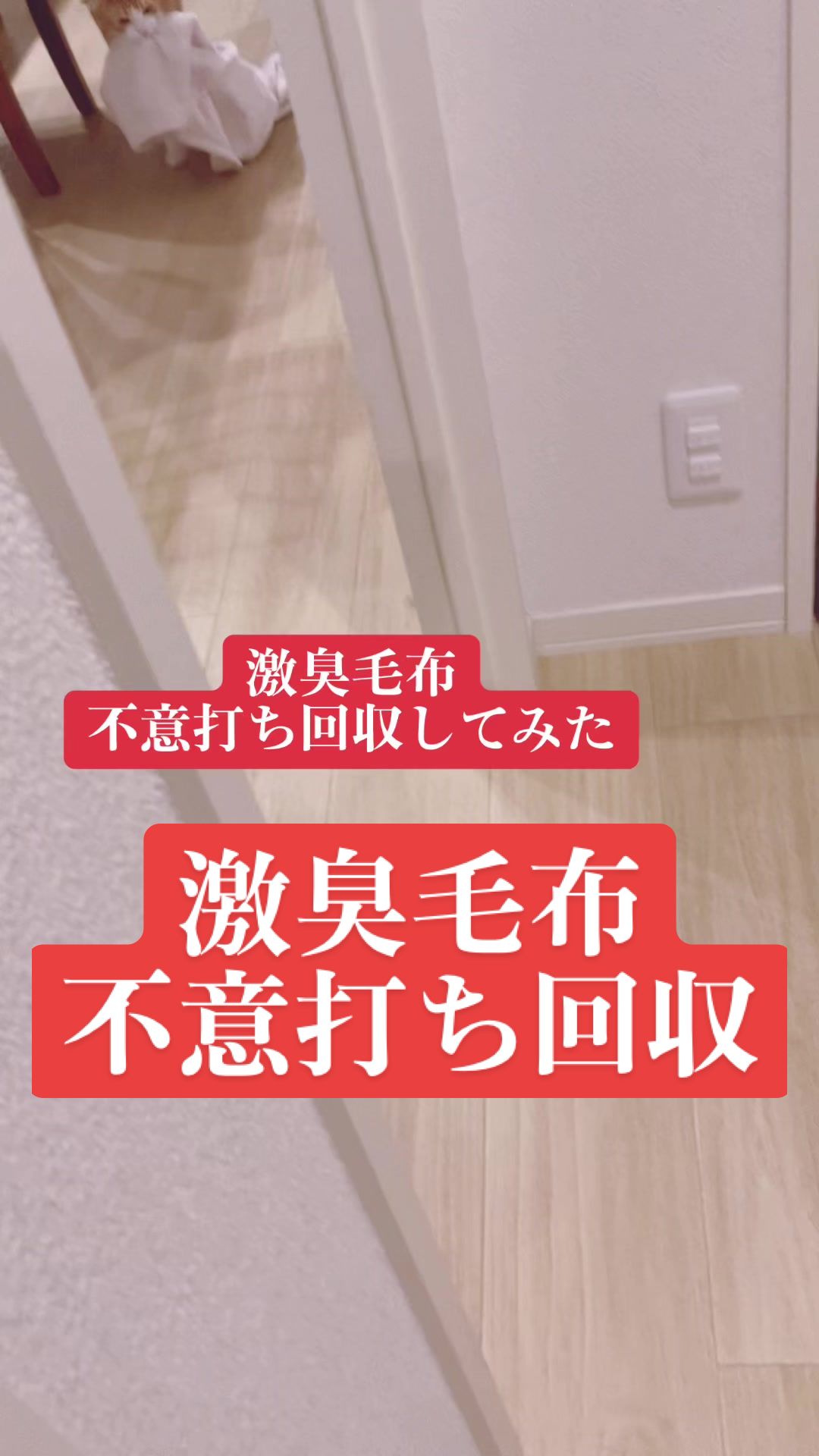 @みーこchannel