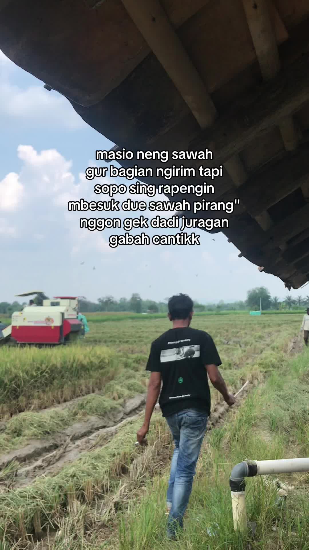@dwnzwa