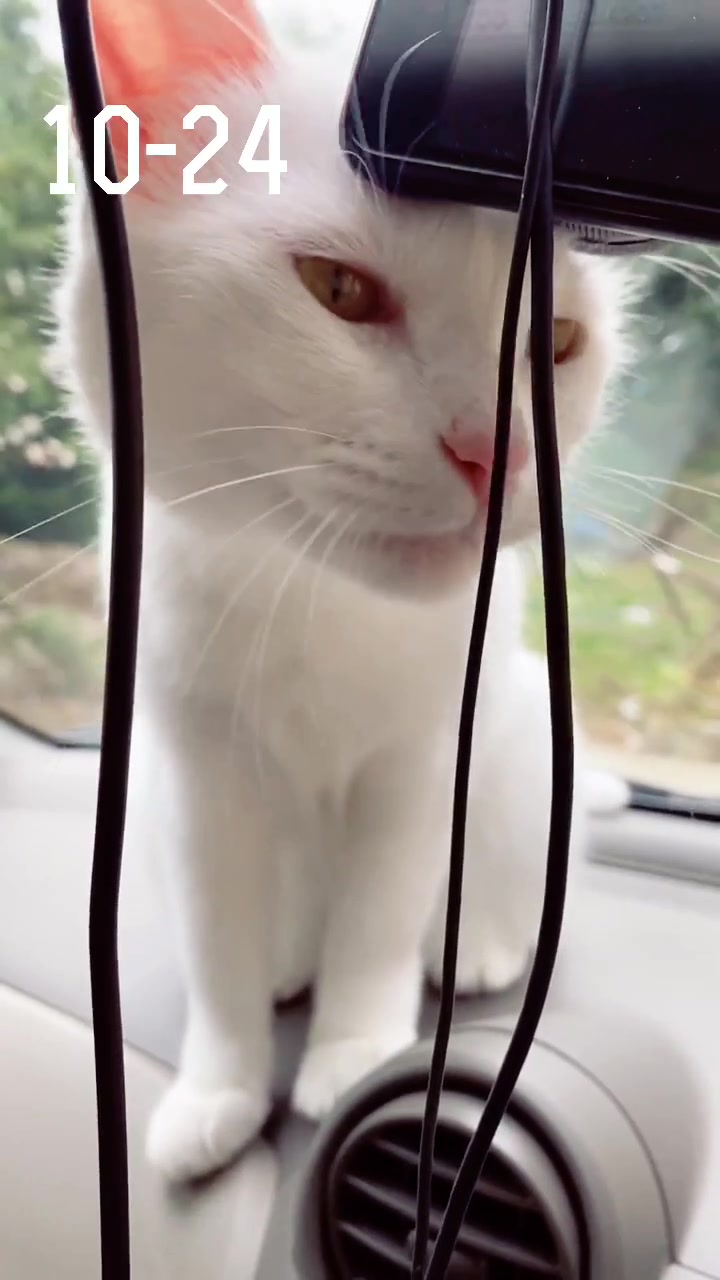 @ゼットン