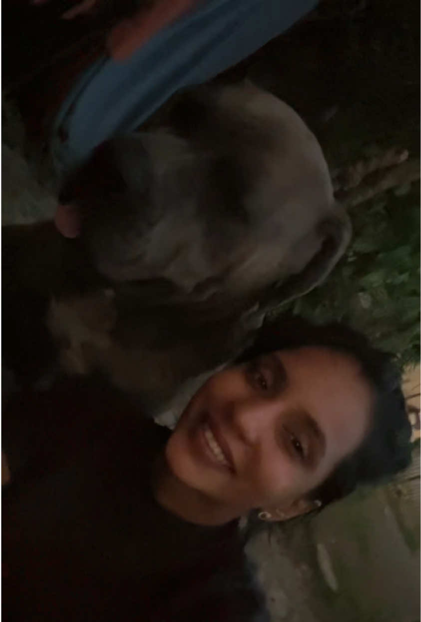 @Mafiacanecorso
