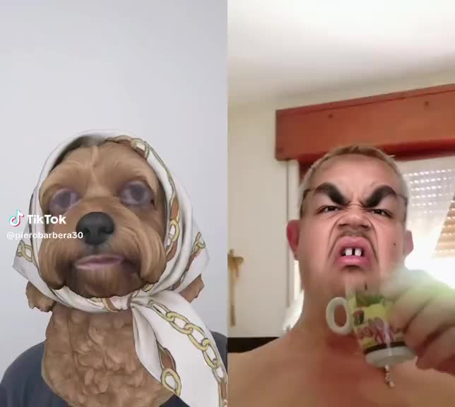 @CostaKobra 🐍💫