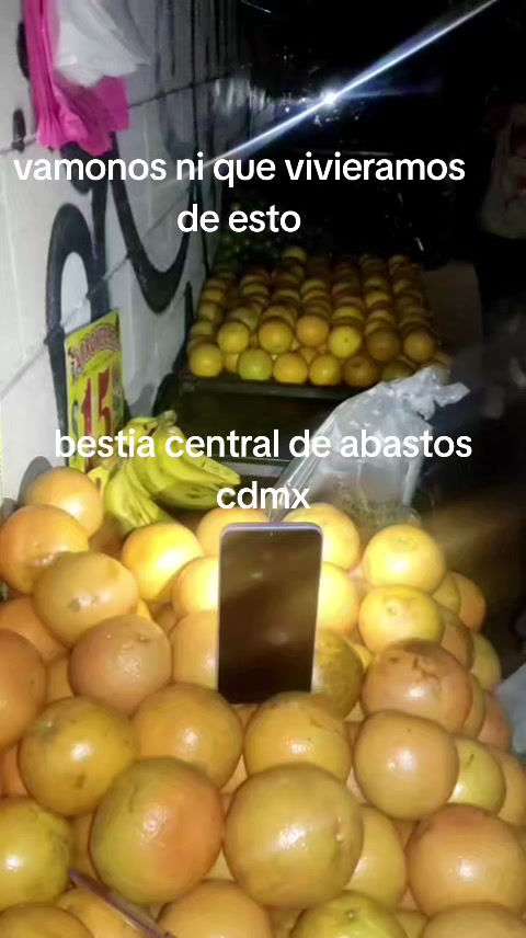 @Bestia central CDMX
