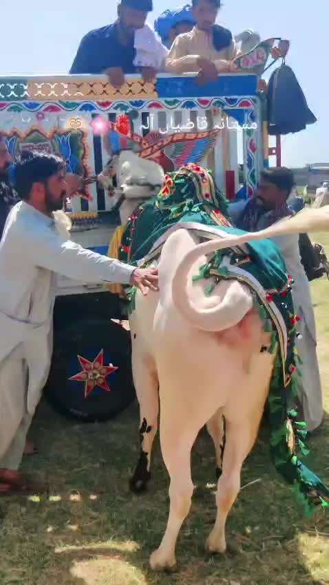 @Malik Ismail 5