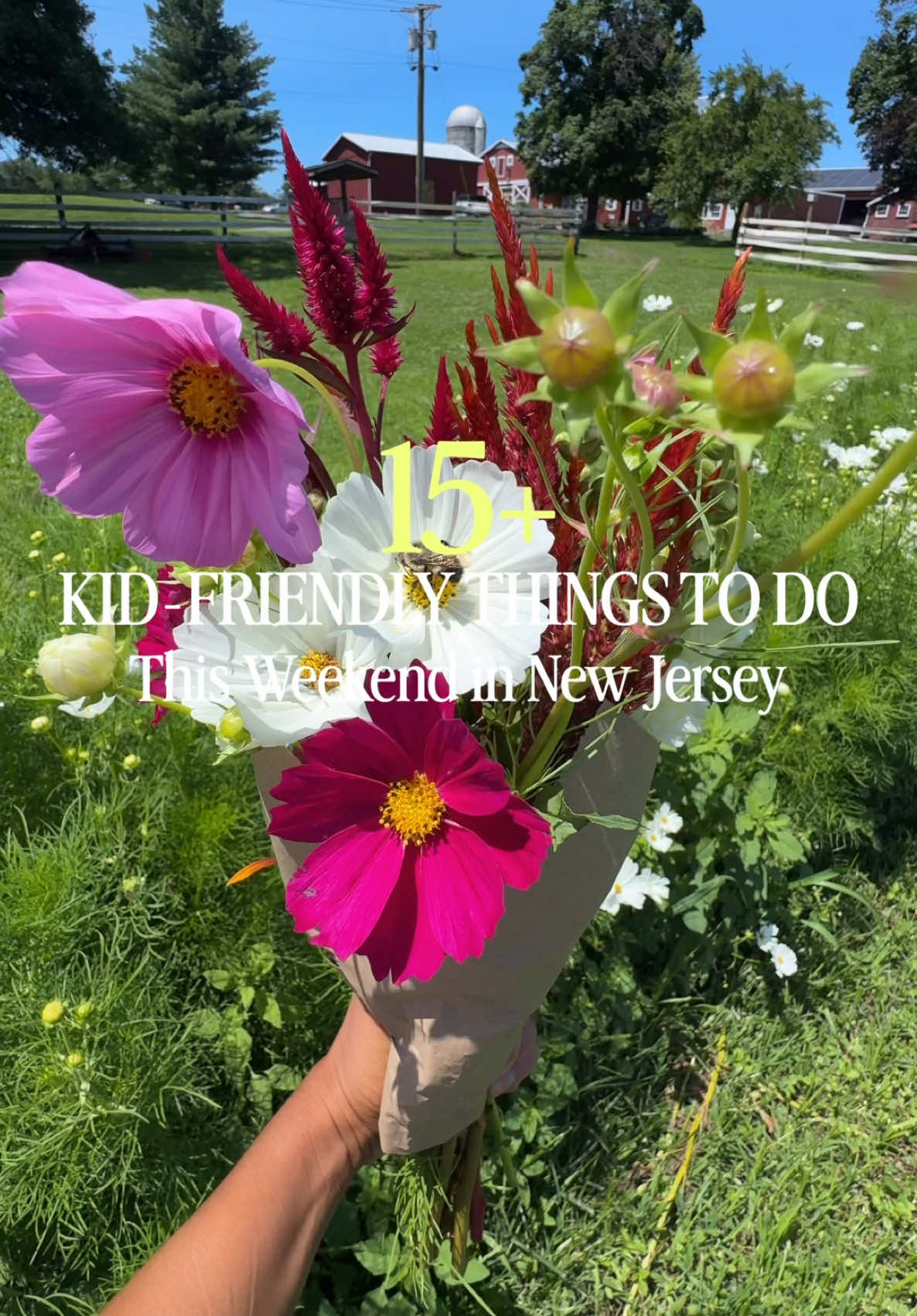 @NJMOM
