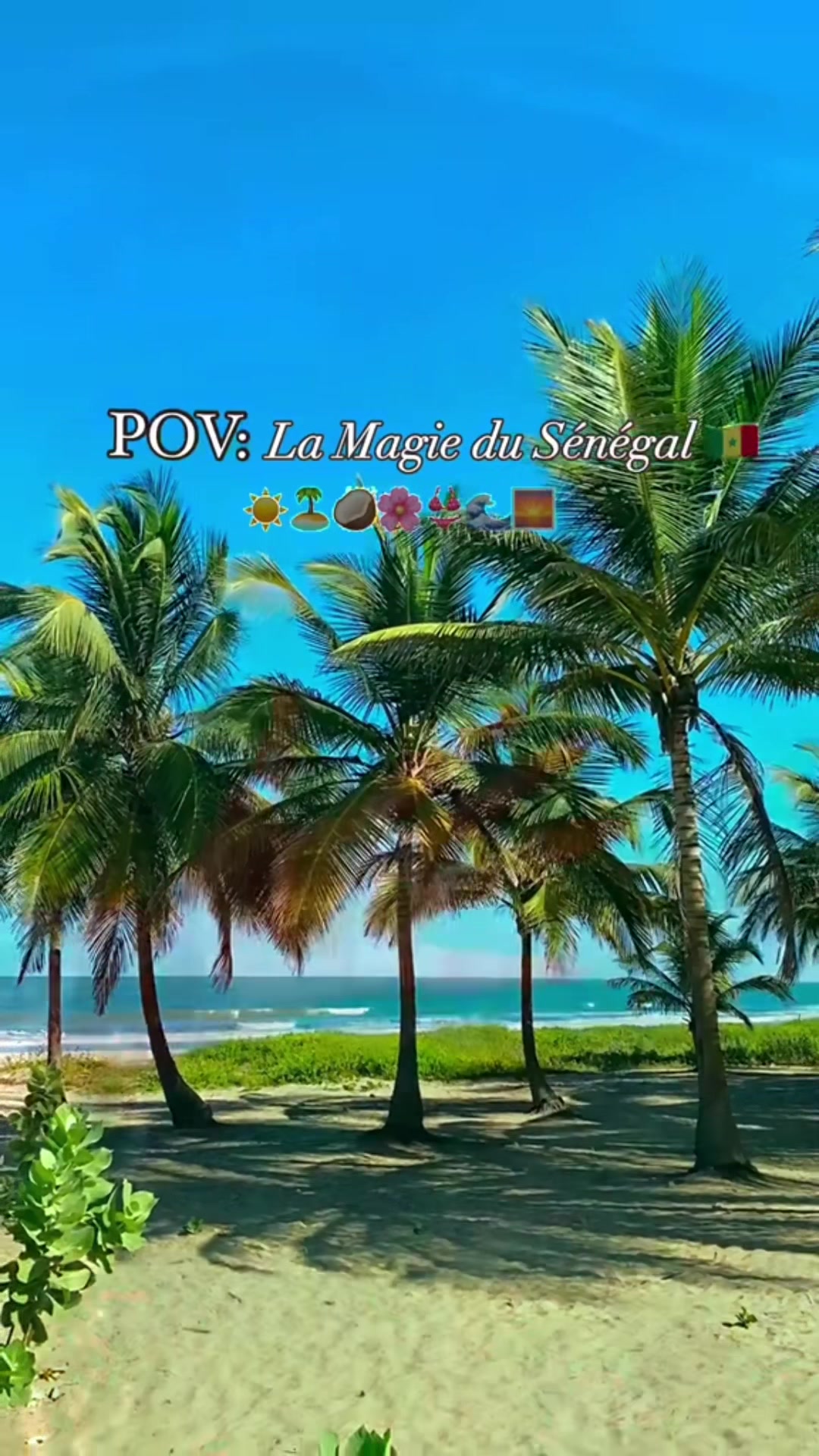 @Sénégal rek