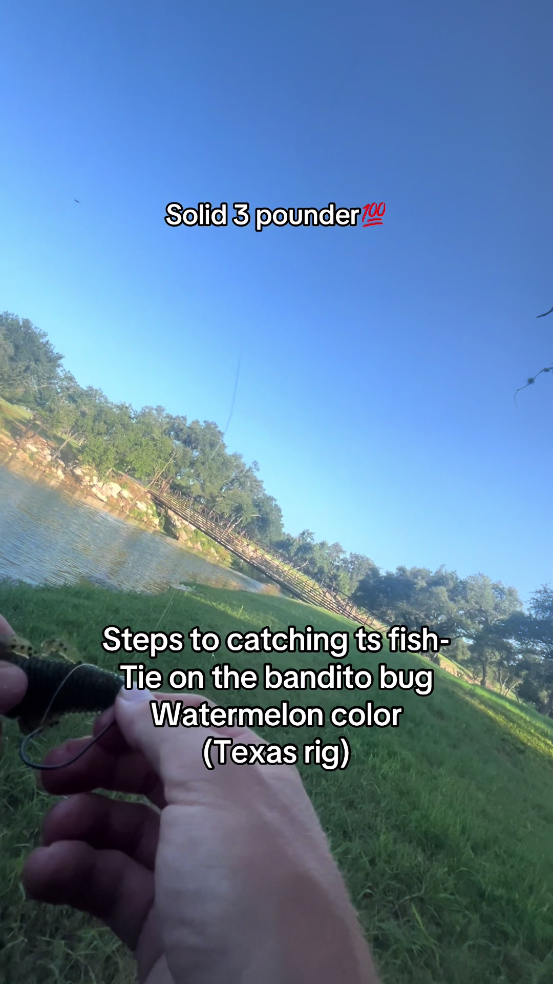 @Unemployed Fishing
