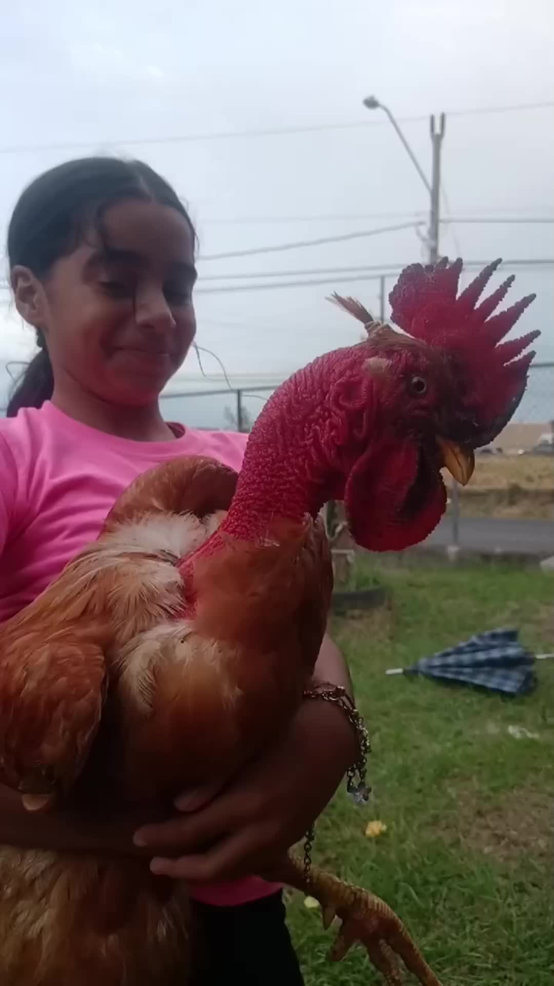 @Soy Leyra en mi 🌎🇵🇦