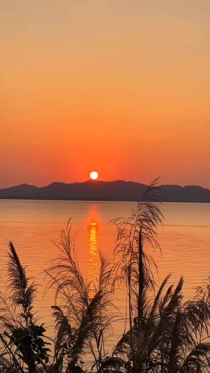 @33 giri