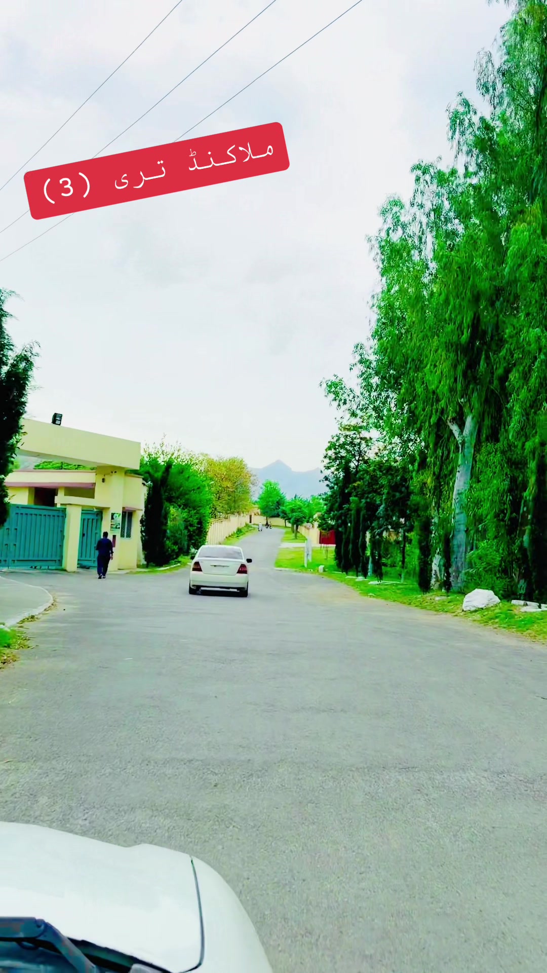 @MUHAMMAD ZADA