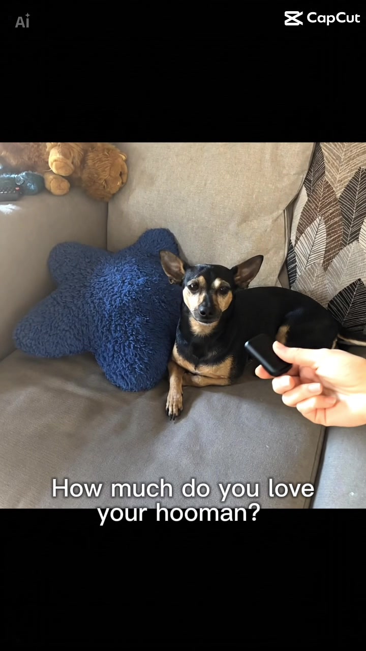 @Vegan Jen 🌱