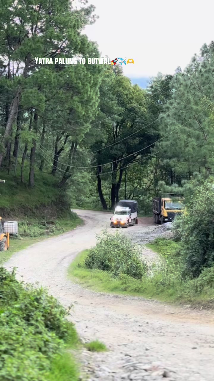 @तिलोत्तमा टाईगर🐯