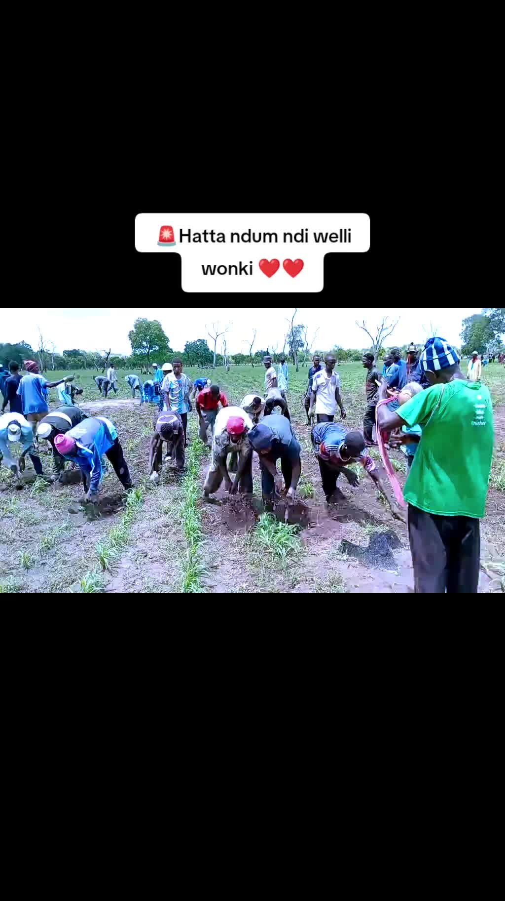 @🇬🇲BAHYA TV
