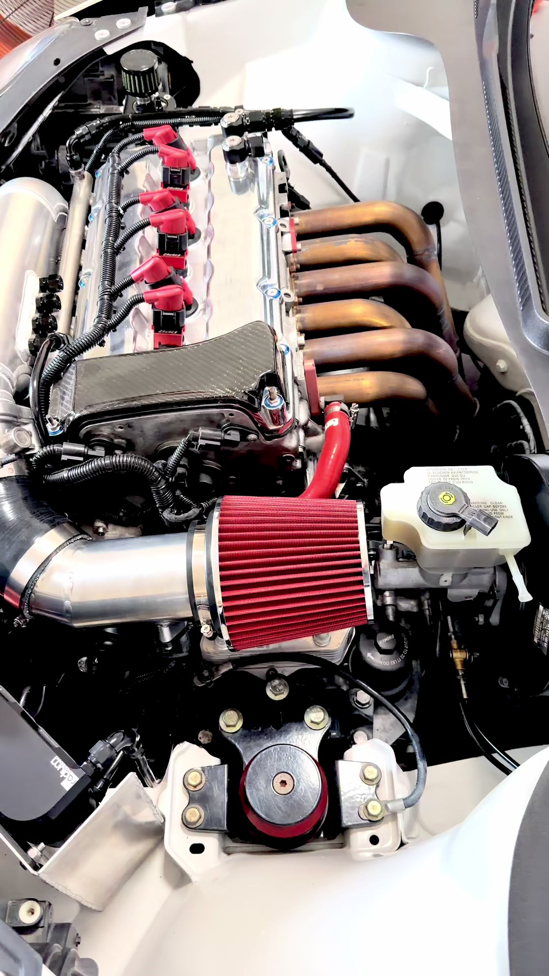 @timv.euromods