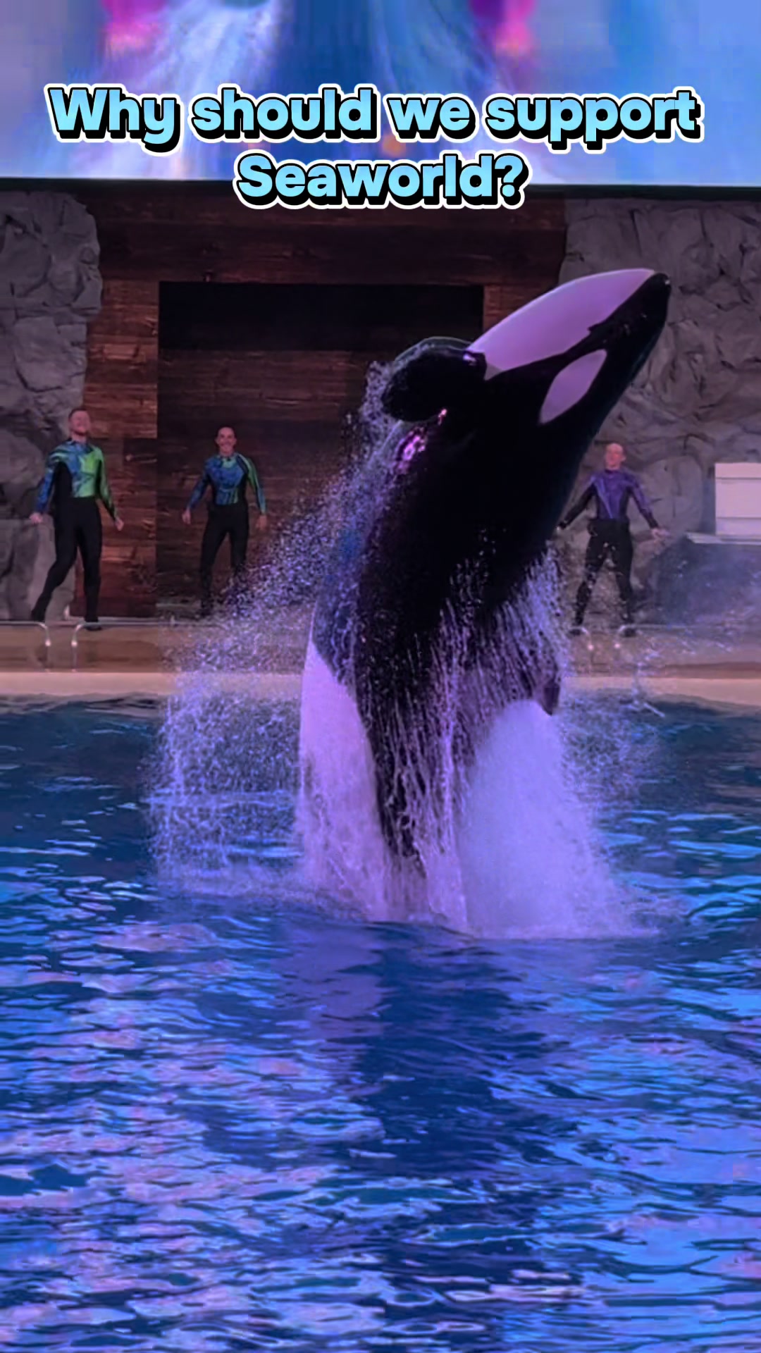 @OlivierSeaworld