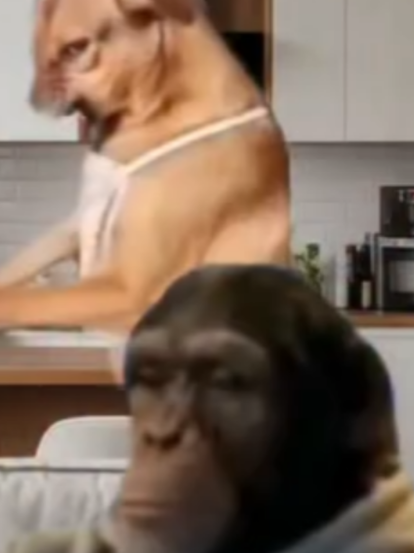 @๐ป๐๐๐๐ ๐ท๐๐๐๐ ๐น๐ฅ