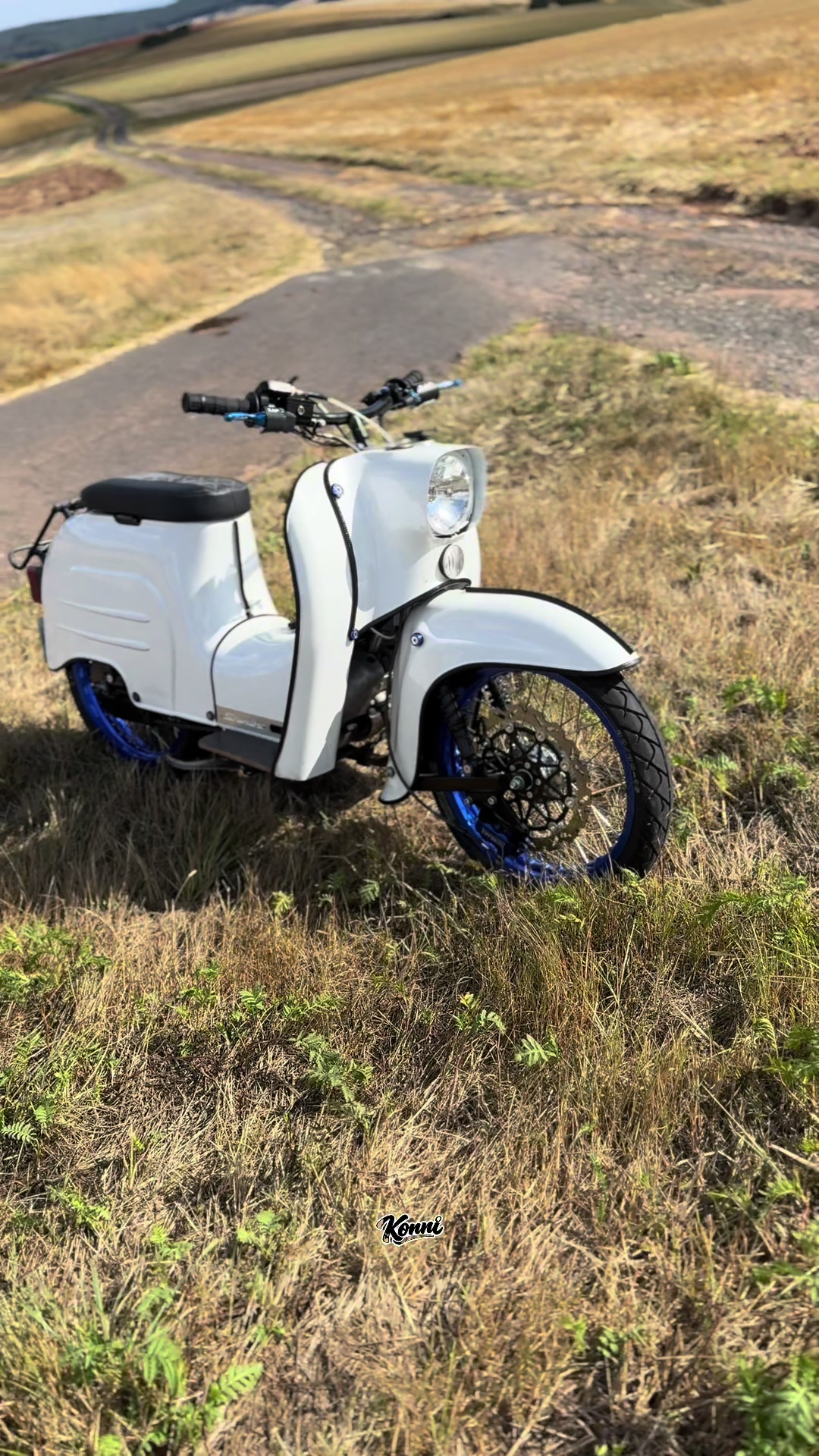 @schwalben.konrad