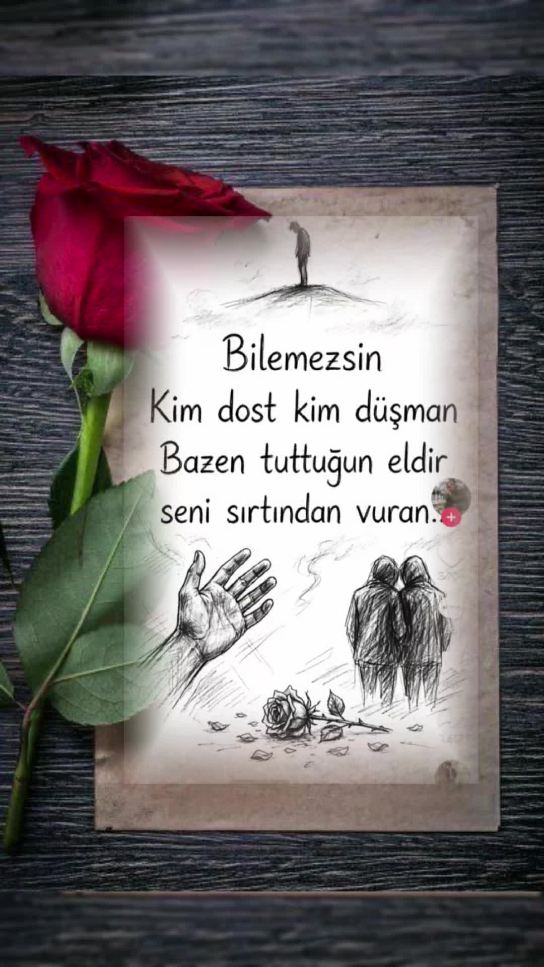@🇹🇷҉͜͡✭ELA-GÖZLÜM 🇹🇷҉͜͡✭