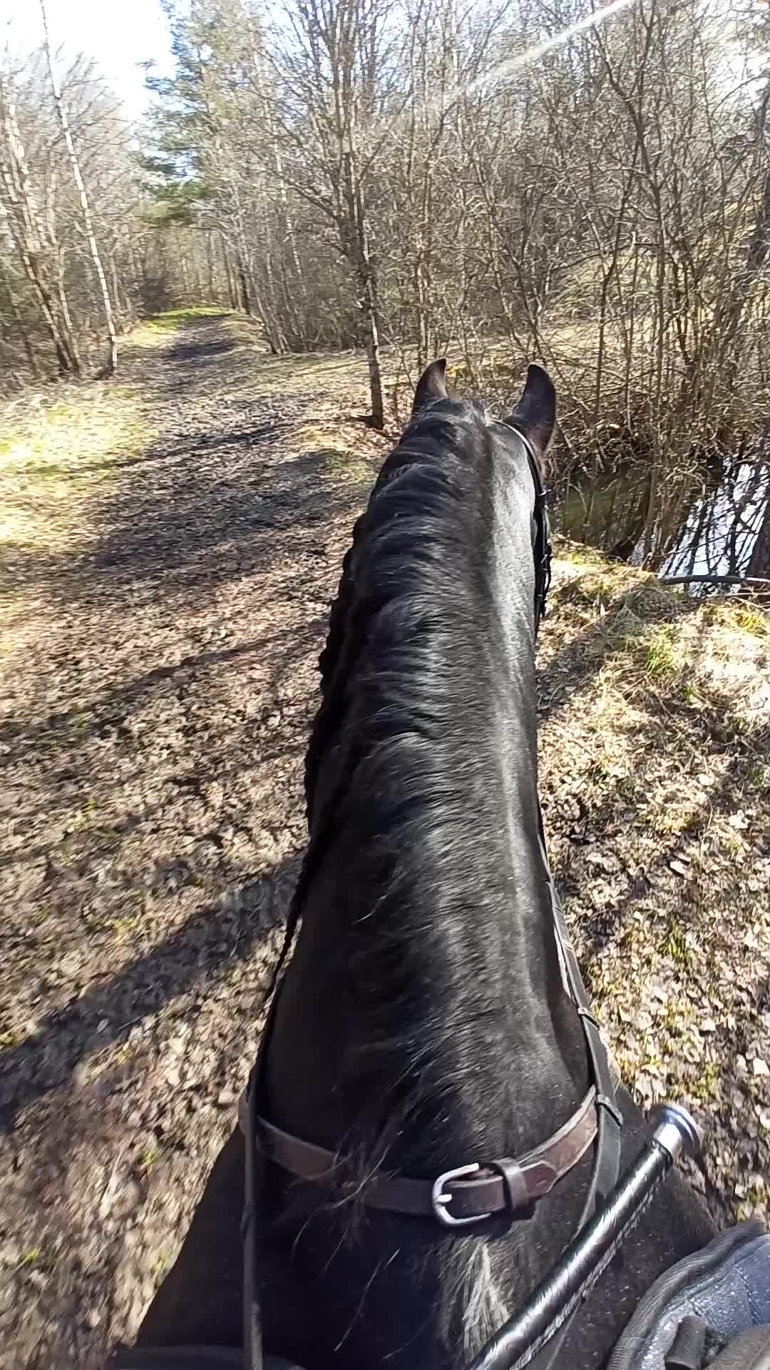 @ErnstVanDeGelderdijk