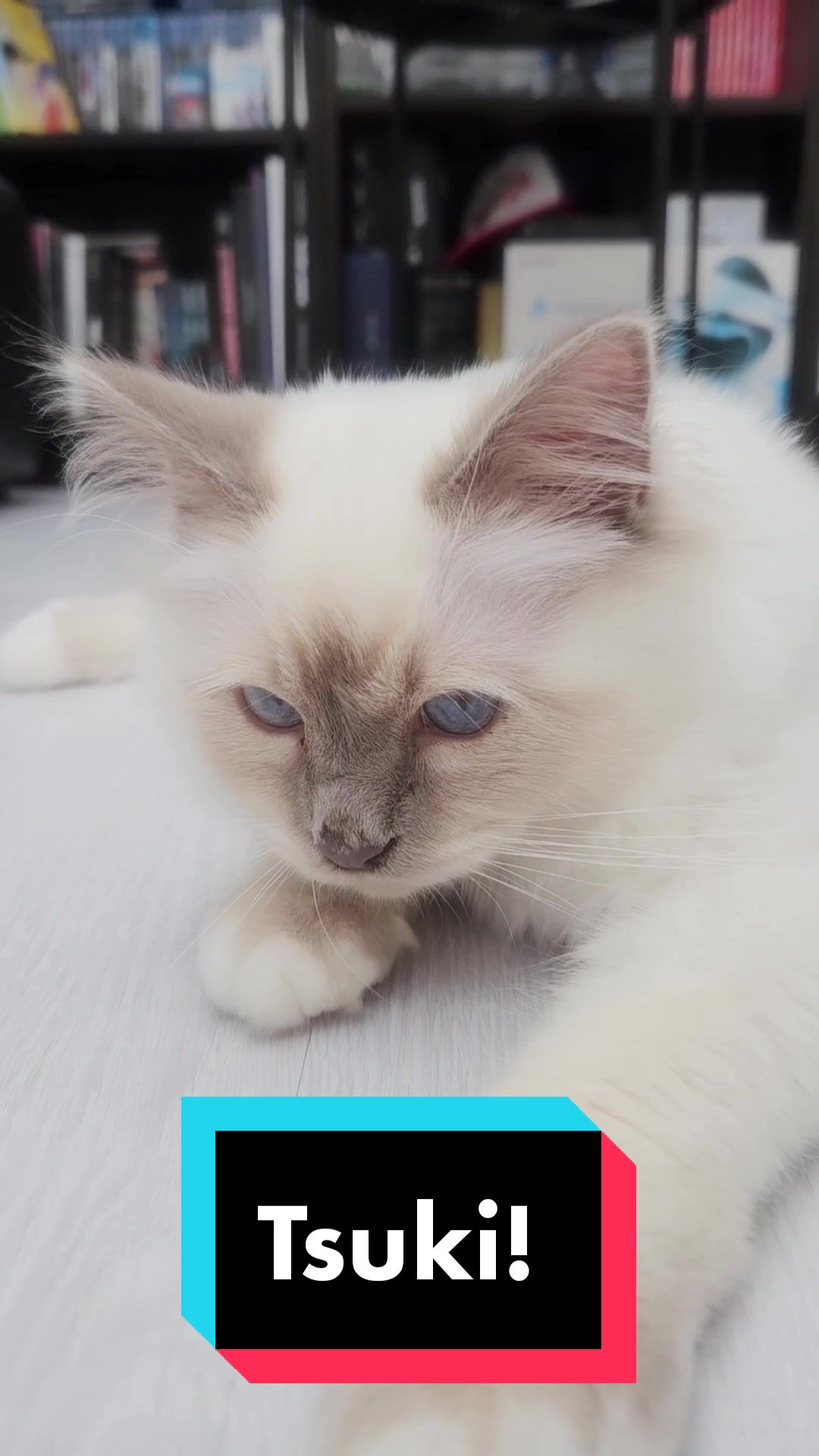 @TsukiTheCat