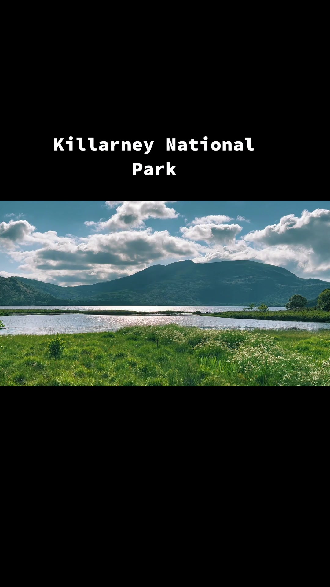 @ThisisKerry