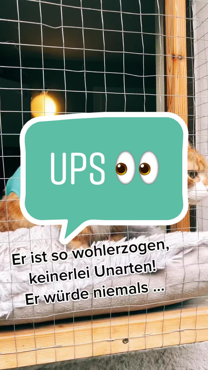@Alex vom MIEZhaus