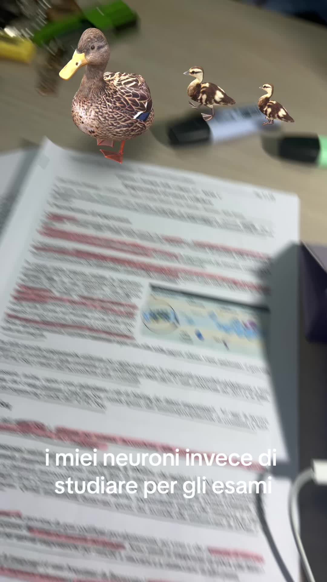 @Ale
