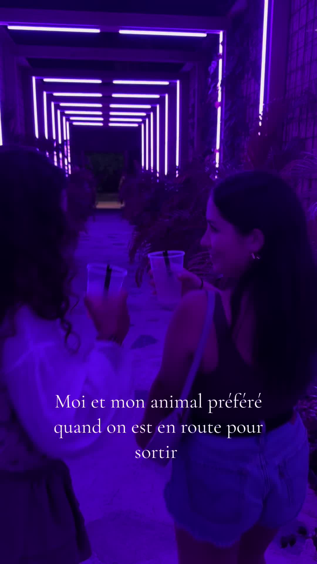 @Auro 🐍