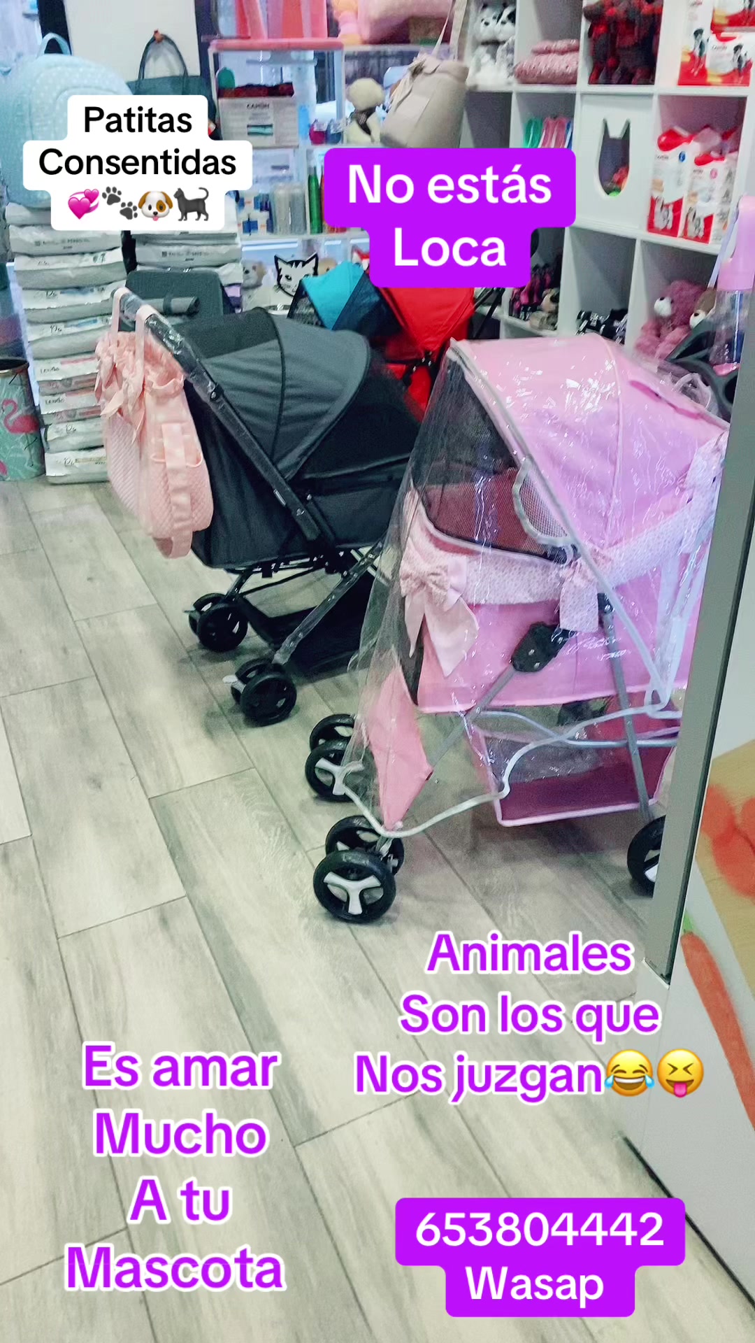 @patitasconsentidastobby