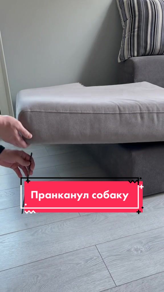 @Йорк Донни 🇺🇦