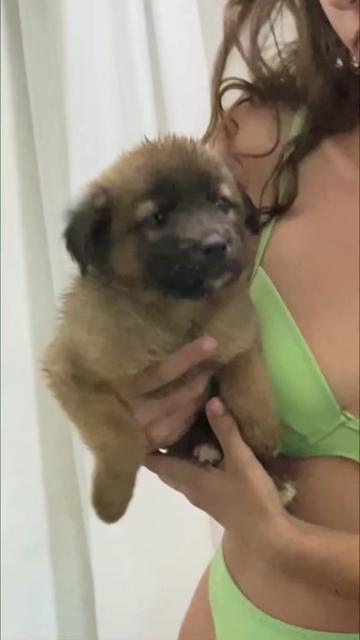 @Rescued stray dog and puppy’s